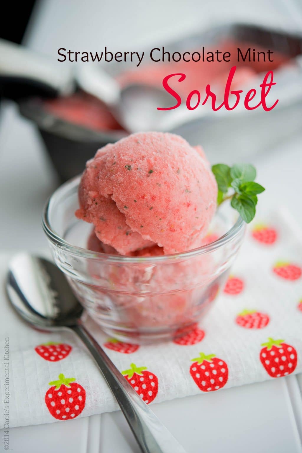 Strawberry Chocolate Mint Sorbet - Carrie’s Experimental Kitchen
