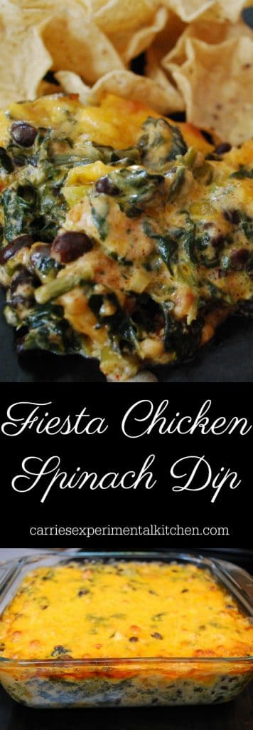 Fiesta Chicken Spinach Dip made with chili rubbed chicken, spinach, black beans, tomatoes and cheddar cheese makes a tasty game day snack. #dip #gameday #appetizer #chicken #spinach #beans