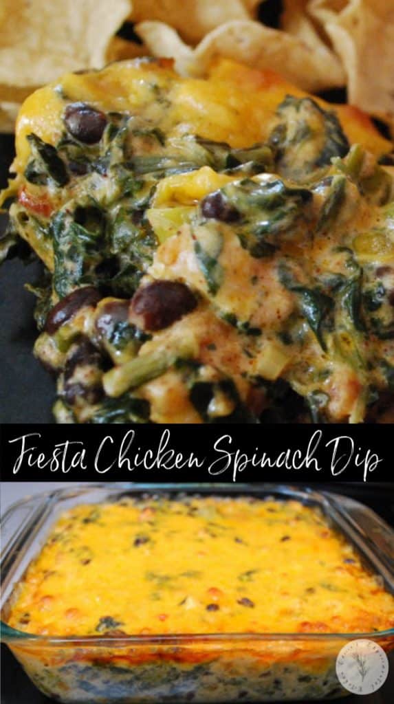 Fiesta Chicken Spinach Dip made with chili rubbed chicken, spinach, black beans, tomatoes and cheddar cheese makes a tasty game day snack.
