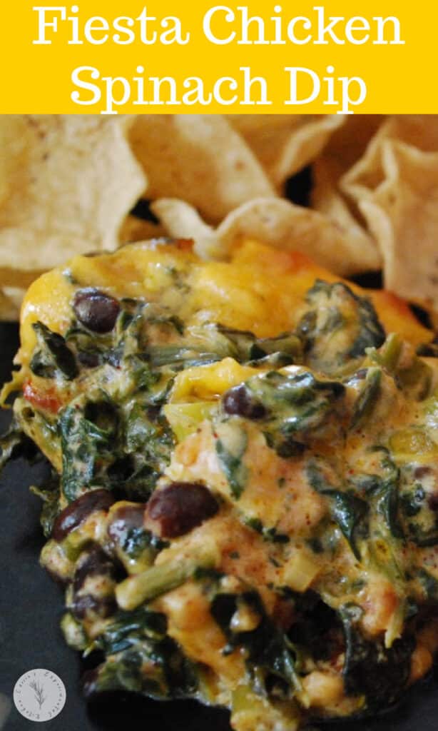 Fiesta Chicken Spinach Dip made with chili rubbed chicken, spinach, black beans, tomatoes and cheddar cheese makes a tasty game day snack.