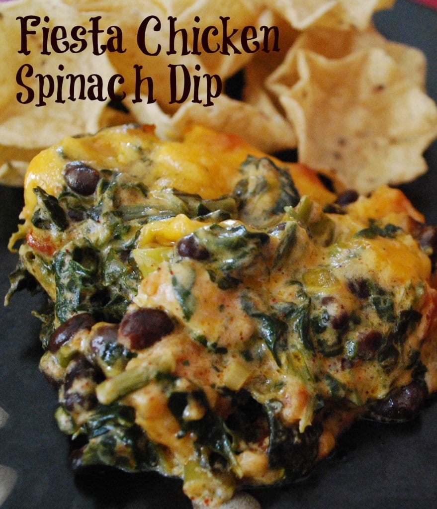 Fiesta Chicken Spinach Dip made with chili rubbed chicken, spinach, black beans, tomatoes and cheddar cheese makes a tasty game day snack. 