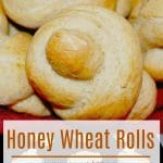 These Honey Wheat Rolls have just the right amount of sweetness, are simple to prepare and will make any family meal even more enjoyable.