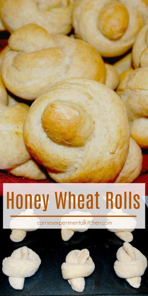 These Honey Wheat Rolls have just the right amount of sweetness, are simple to prepare and will make any family meal even more enjoyable.