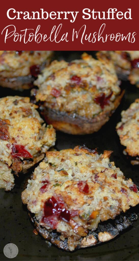 Portobella mushrooms stuffed with dried cranberries, rosemary, garlic, cream cheese and Panko breadcrumbs make a tasty Fall appetizer.