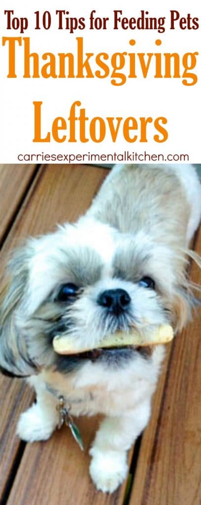 A dog holding a biscuit. 