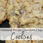 Add these Oatmeal Pecan Chocolate Chip Cookies to your holiday baking list. They're moist, super flavorful and great for dunking! 