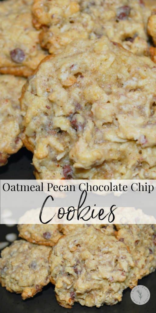 Add these Oatmeal Pecan Chocolate Chip Cookies to your holiday baking list. They're moist, super flavorful and great for dunking! 