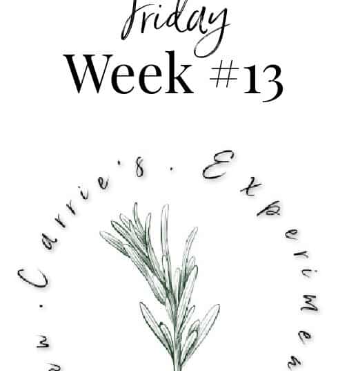 week 13 seafood frenzy friday