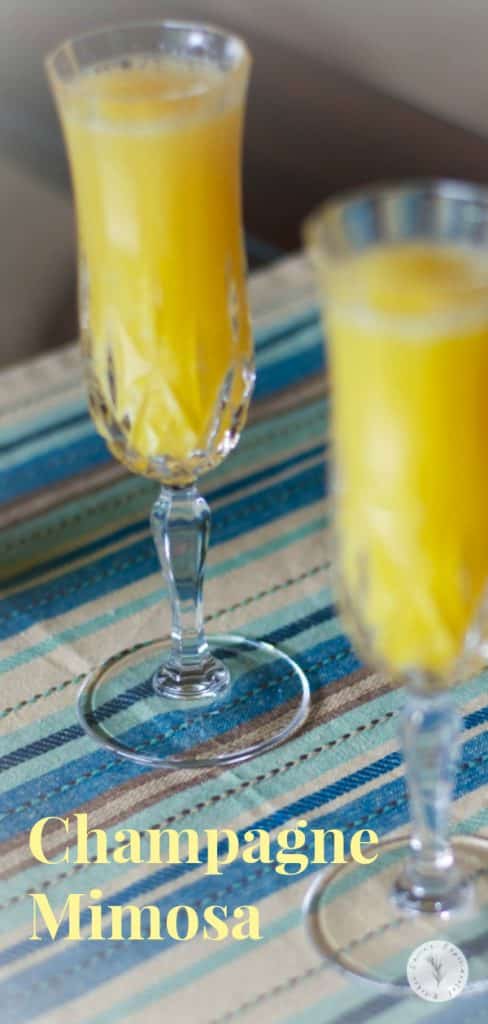 Bubbly champagne and orange juice make up this simple Mimosa cocktail perfect for weekend brunch or holiday family gatherings. 