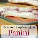 This panini made with creamy Brie cheese and sweet seedless raspberry jam makes a tasty lunch or quick dinner sandwich.