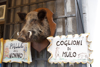 A boars head hanging on a wall