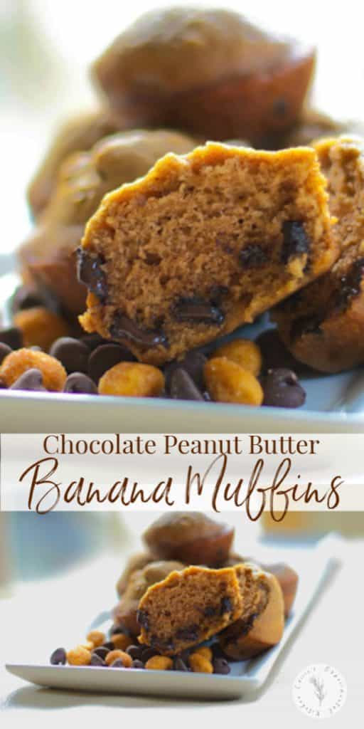 Chocolate Peanut Butter Banana Muffins are the perfect flavor combination. You can eat these for breakfast or an afternoon snack!