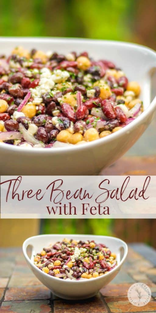 Kidney, black and garbanzo beans tossed with Feta cheese and a light, lemony Dijon vinaigrette make up this tasty Three Bean Salad with Feta. 