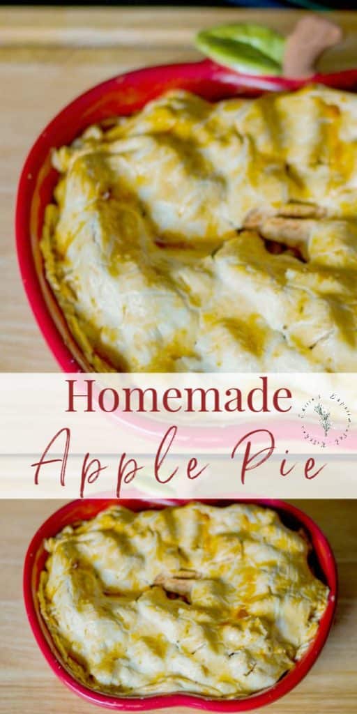 A close up of homemade apple pie