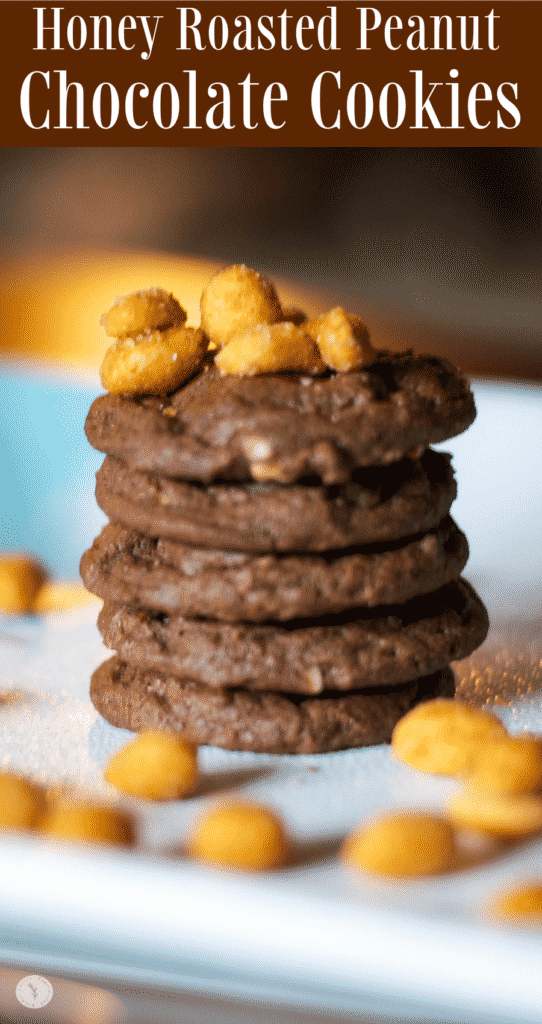 Are you looking for a sweet, salty, chocolatey snack? Try these Honey Roasted Peanut Chocolate Cookies. You won't be disappointed.