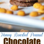 Are you looking for a sweet, salty, chocolatey snack? Try these Honey Roasted Peanut Chocolate Cookies. You won't be disappointed.