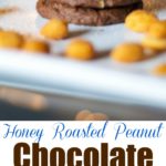 Are you looking for a sweet, salty, chocolatey snack? Try these Honey Roasted Peanut Chocolate Cookies. You won't be disappointed.
