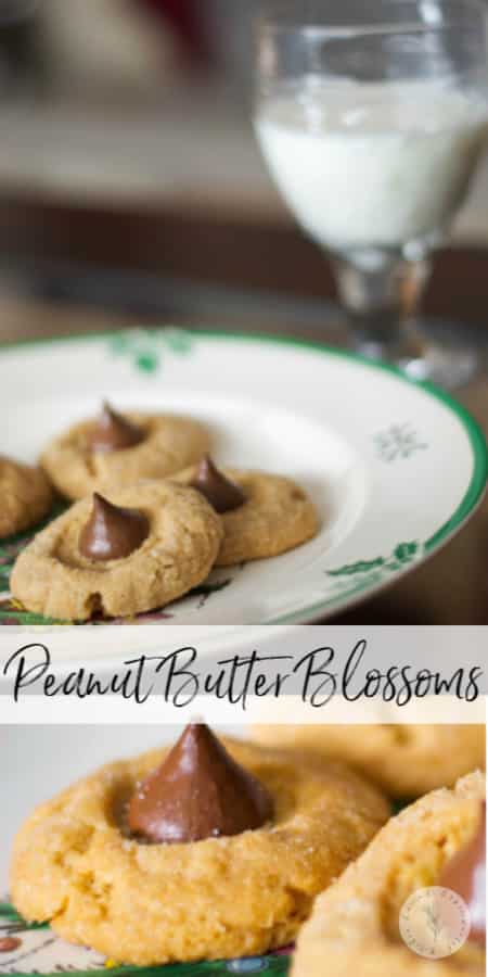 Peanut Butter Blossoms on a plate close up 