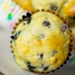 Low Fat Blueberry Muffins