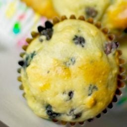 Low Fat Blueberry Muffins