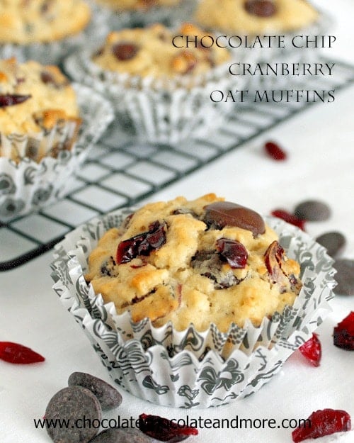 Chocolate Chip Cranberry Muffin-Chocolate Chocolate and more