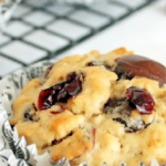 Chocolate Chip Cranberry Oat Muffins