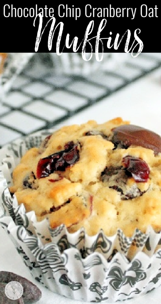 Chocolate Chip Cranberry Oat Muffins