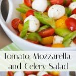 This Mediterranean Tomato, Mozzarella & Celery Salad is a twist on one of my favorites. I just love the crunch that the celery adds.