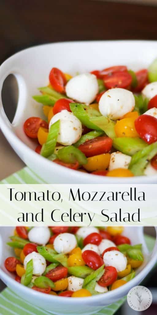 This Mediterranean Tomato, Mozzarella & Celery Salad is a twist on one of my favorites. I just love the crunch that the celery adds.