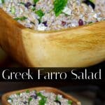 Greek Farro Salad made with Kalamata olives, fresh baby spinach and oregano and Feta cheese in a light lemony vinaigrette.