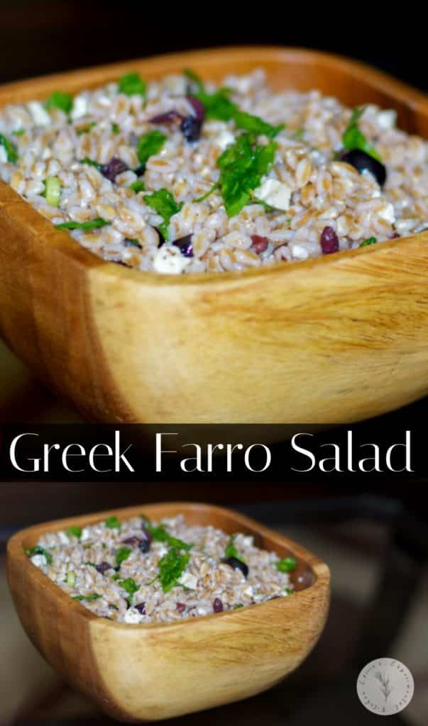 Greek Farro Salad made with Kalamata olives, fresh baby spinach and oregano and Feta cheese in a light lemony vinaigrette.