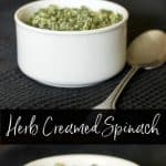 This Herb Creamed Spinach made with spinach, mushrooms, garlic & herb cheese spread and white wine is a tasty side dish that can be ready in minutes.