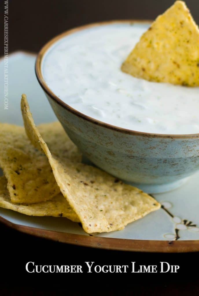 This low fat Cucumber Yogurt Lime Dip is so light and refreshing. Scoop your favorite tortilla chip or place on top of grilled chicken or fish. 