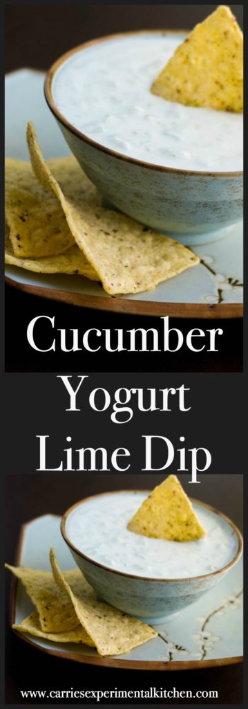 This low fat Cucumber Yogurt Lime Dip is so light and refreshing. Scoop your favorite tortilla chip or place on top of grilled chicken or fish. 