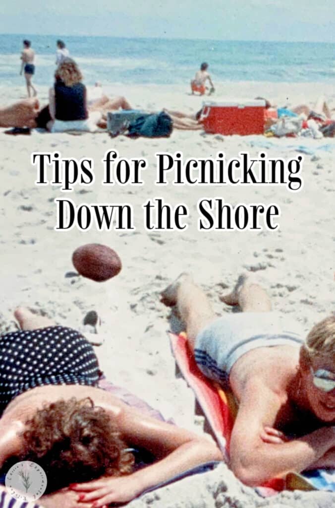 Summer is here so check out these helpful tips for picnicking down the shore including the basics, food and entertainment.