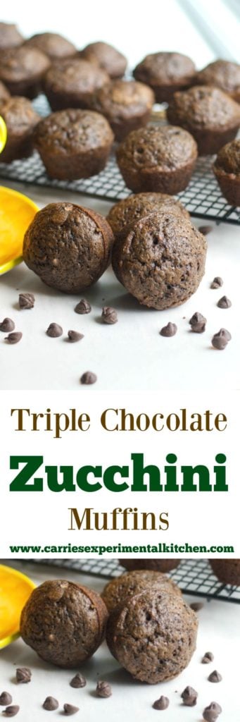 Triple Chocolate Zucchini Muffins made with cocoa powder, semi sweet and dark chocolate are so chocolatey, you won't be able to eat just one. 