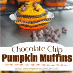 Collage of chocolate chip pumpkin muffins
