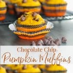  Chocolate Chip Pumpkin Muffins collage photo