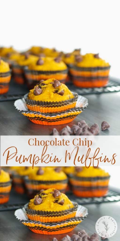  Chocolate Chip Pumpkin Muffins collage photo