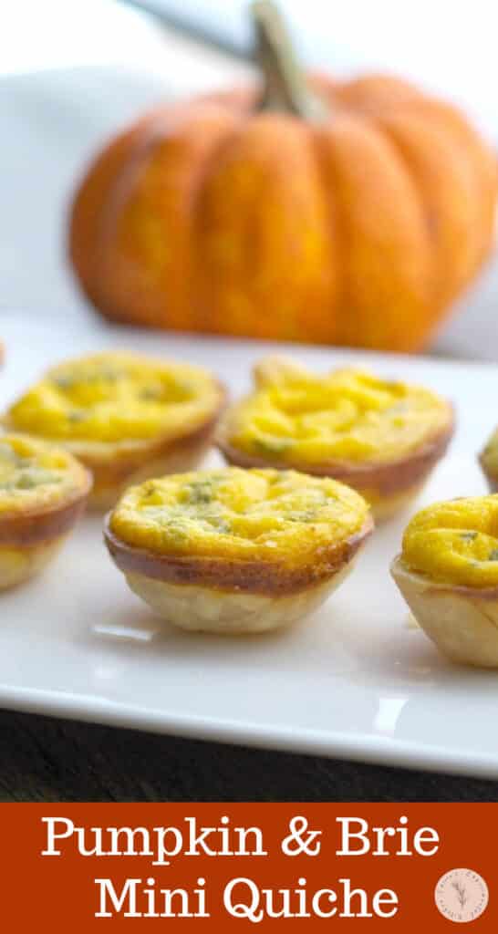 Use a mini muffin tin to create these Pumpkin and Brie Mini Quiche to serve as individual appetizers for your next holiday gathering.