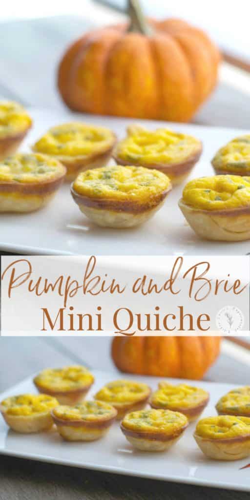 These Pumpkin & Brie Mini Quiche are delicious and so easy to make. Use a mini muffin tin to create individual appetizers for your holiday gathering.