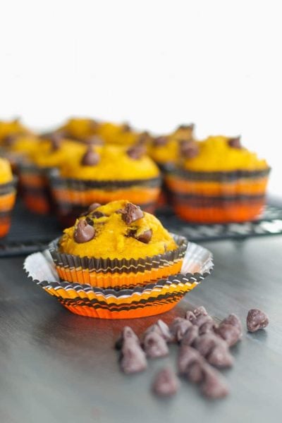 Chocolate Chip Pumpkin Mufins