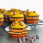 Chocolate Chip Pumpkin Muffins