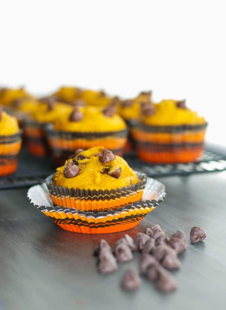 Chocolate Chip Pumpkin Muffins