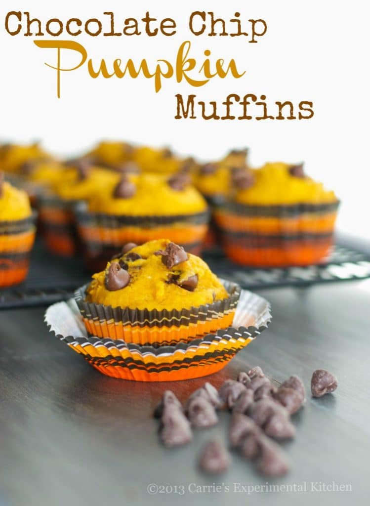 Chocolate Chip Pumpkin Muffins