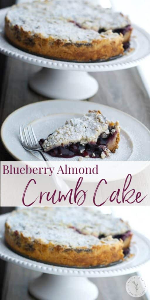 This Blueberry Almond Crumb Cake made with canned blueberry pie filling is so easy to make it's perfect for last-minute entertaining.