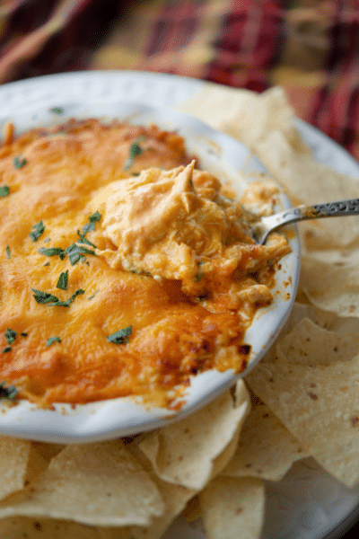 buffalo chicken dip