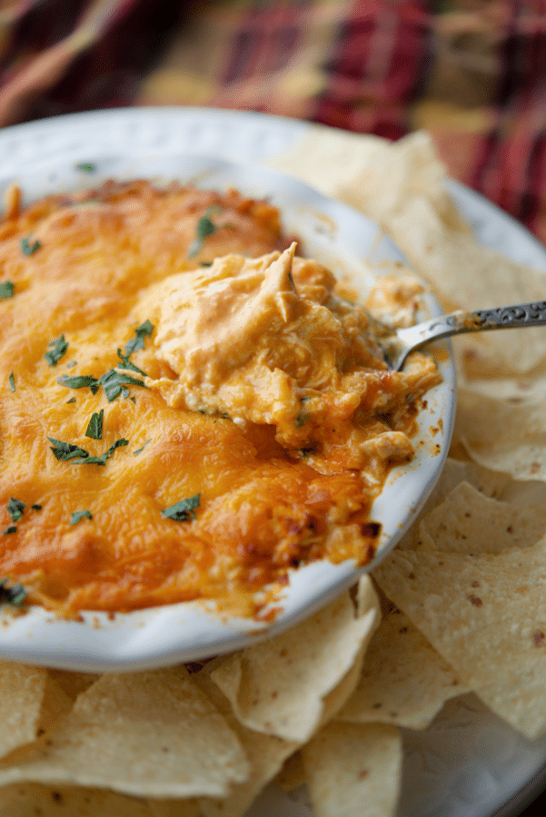 buffalo chicken dip