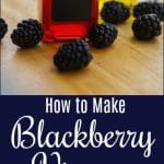 Making your own  fruit flavored vinegar, like this blackberry version, is easy and only requires a few simple ingredients.