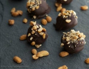 dark chocolate nutter butter truffles closeup-cek